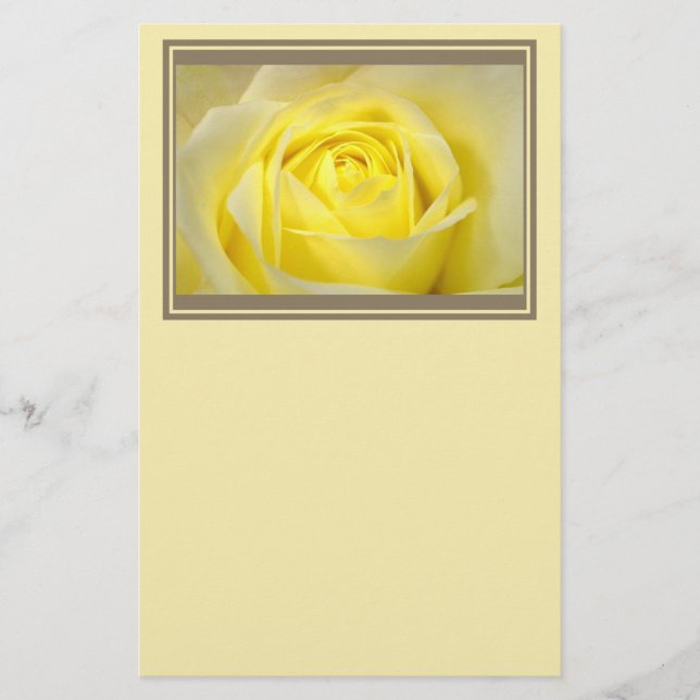Yellow Rose Closeup Stationery (Front)