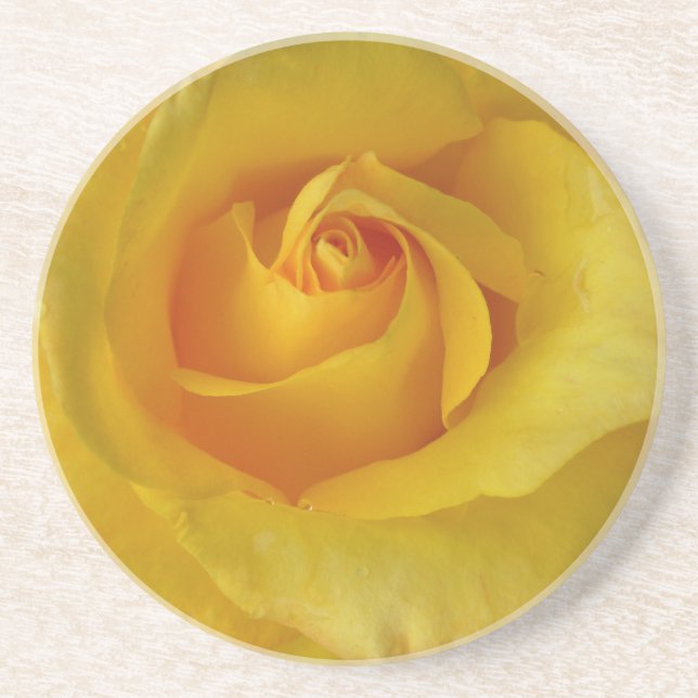 Yellow Rose Coasters Sunny Rose Gifts Keepsake Dec (Front)