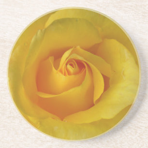Yellow Rose Coasters Sunny Rose Gifts Keepsake Dec