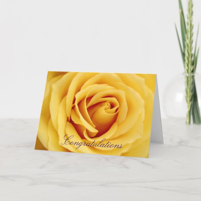 Yellow rose, Congratulations Card (Front)