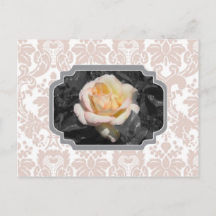 Yellow Rose Damask Notecard Postcard