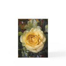 Yellow Rose | Elegant Floral | Thank You