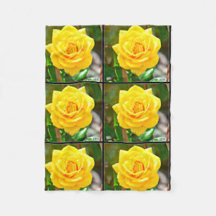 Yellow Rose Fleece Blanket
