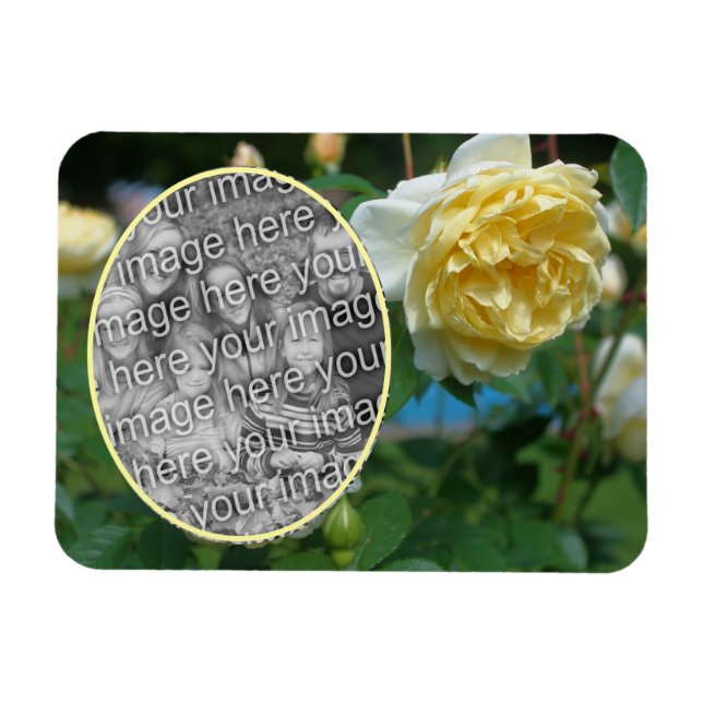 Yellow Rose Flower Frame Create Your Own Photo Magnet (Horizontal)
