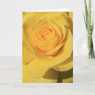 Yellow Rose Flower Greeting Card,Note Card