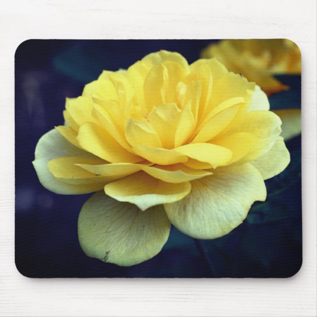 Yellow Rose Flower  Mouse Mat (Front)