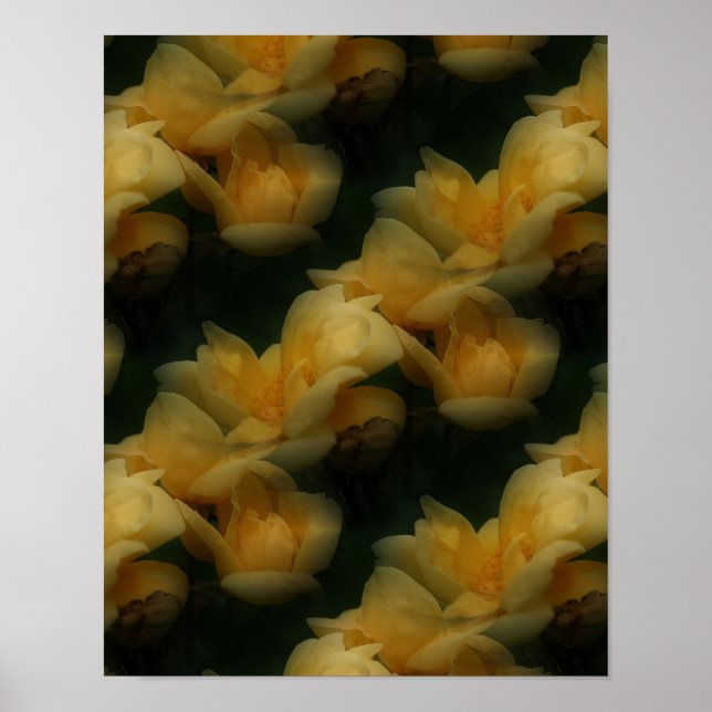 Yellow Rose Flowers Nature Art Pattern     Poster (Front)