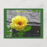 YELLOW ROSE FRIENDSHIP POSTCARD