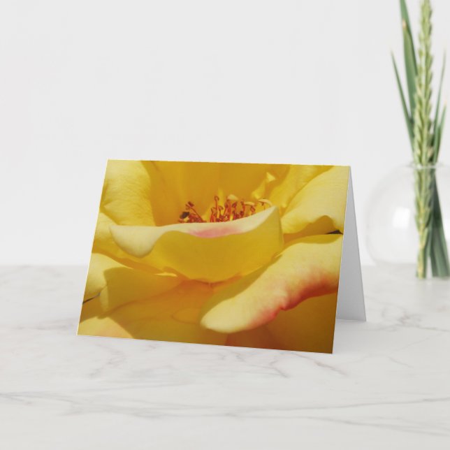 Yellow Rose Greeting Card (Front)