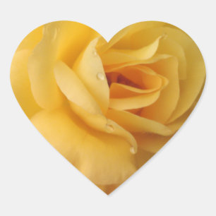 yellow rose heart stickers