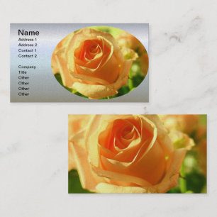 Yellow Rose in Full Bloom Business Card