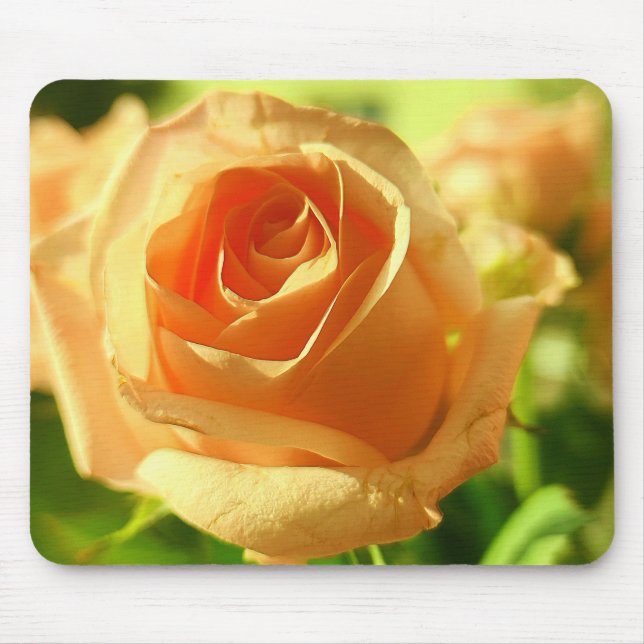 Yellow Rose in Full Bloom Mouse Mat (Front)