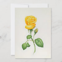 Yellow Rose In Watercolors
