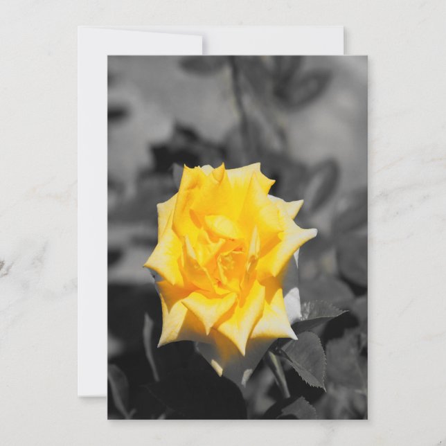 Yellow rose invitation (Front)