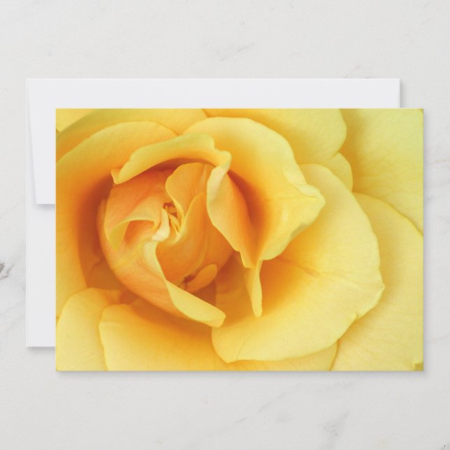 Yellow Rose Invitation (Front)