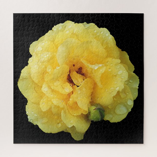 YELLOW ROSE  JIGSAW PUZZLE (Vertical)