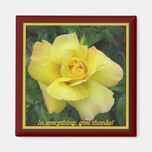 Yellow rose magnet
