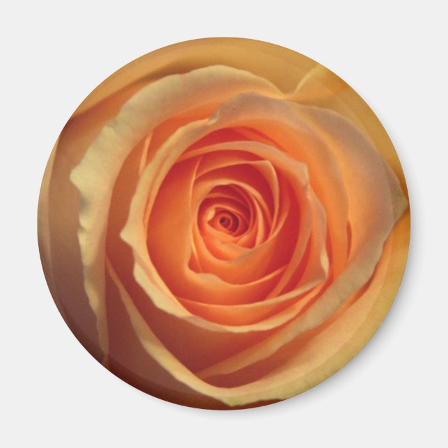 Yellow Rose Magnet (Front)