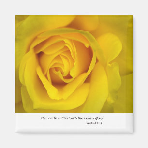 Yellow Rose Magnet