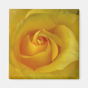 Yellow Rose Magnet Flower Gifts Keepsake Decor