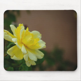 Yellow Rose Mouse Mat