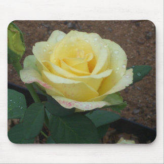 Yellow Rose Mouse Mat