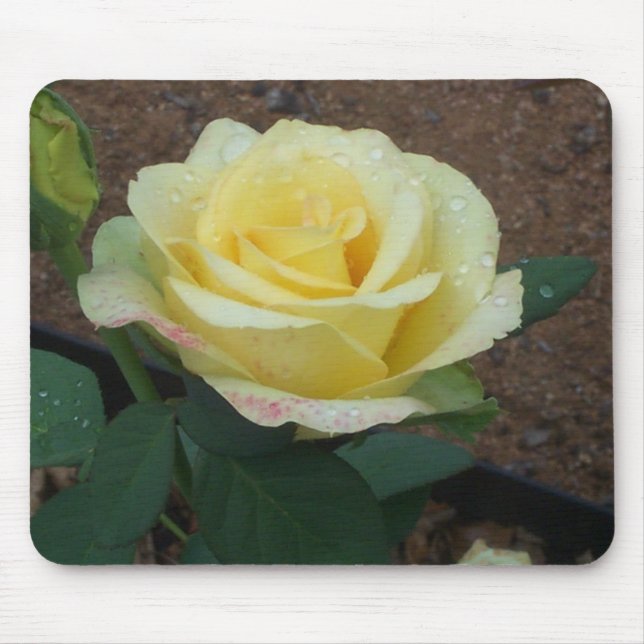 Yellow Rose Mouse Mat (Front)