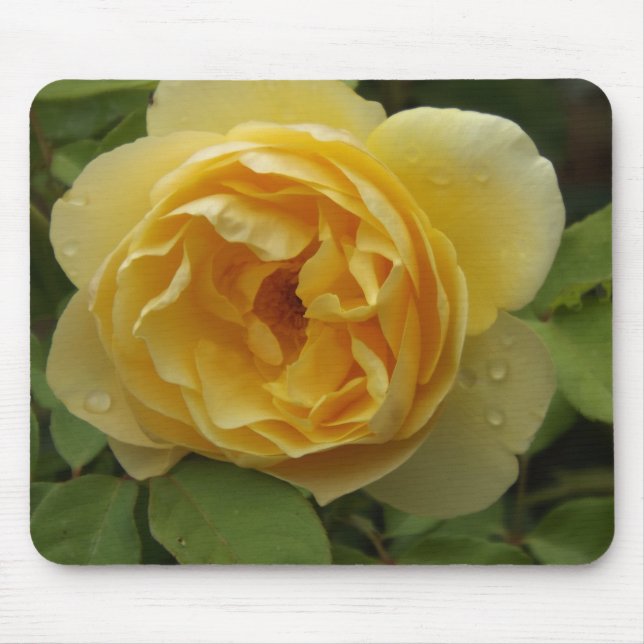Yellow Rose Mouse Mat (Front)