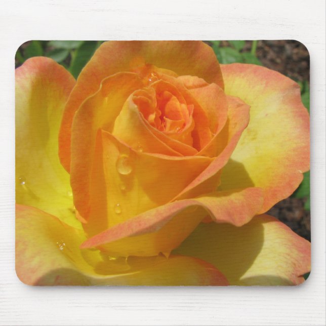 Yellow Rose Mouse Mat (Front)