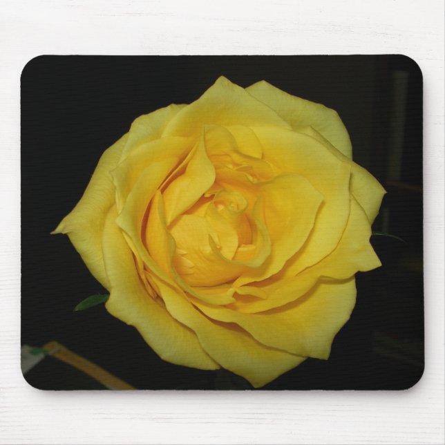 yellow rose mouse mat (Front)