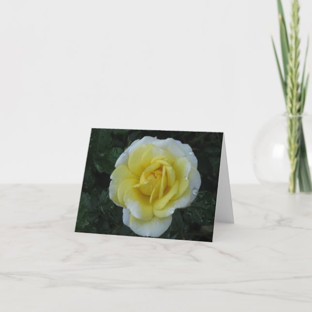 Yellow Rose note card (Front)