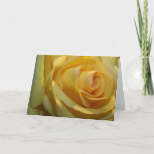 YELLOW ROSE NOTE CARDS