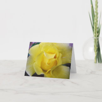 Yellow Rose Notecard