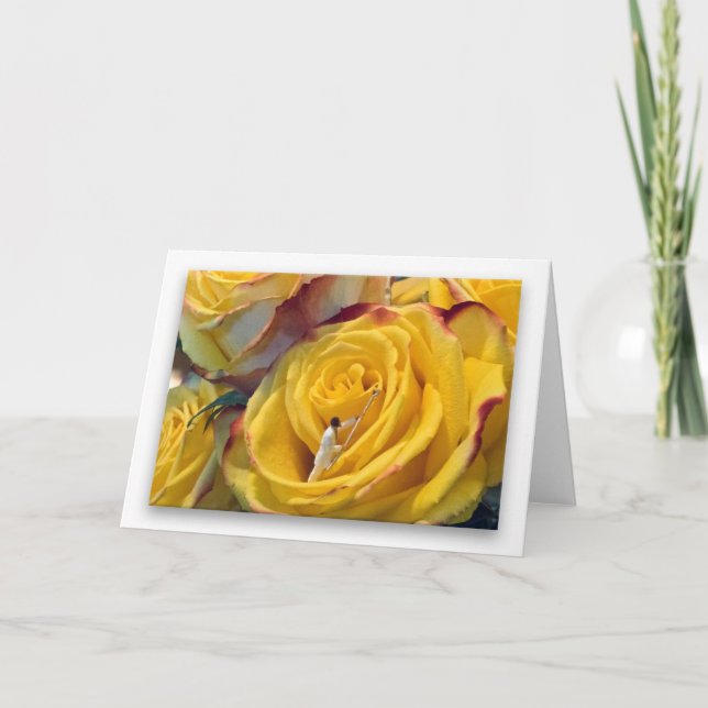 Yellow Rose of Nexus (white background) Card (Front)