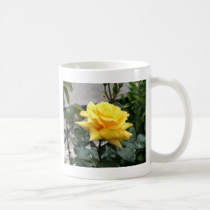 Yellow Rose of Texas Coffee Mug
