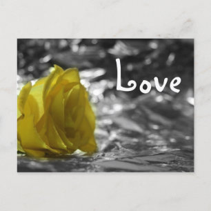 Yellow Rose On Left Side Silver Background Love Postcard