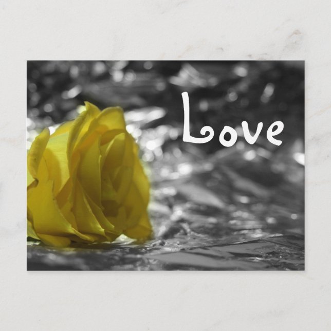 Yellow Rose On Left Side Silver Background Love Postcard (Front)