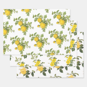 Yellow Rose Pattern Wrapping Paper Sheet