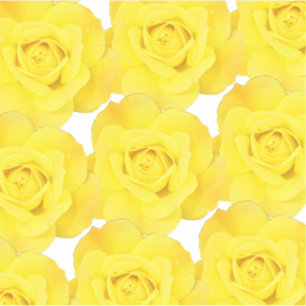 Yellow Rose Patterns Floral Flower Abstract Spring