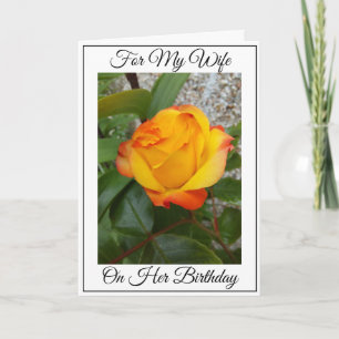 Yellow Rose Personalised Wife Birthday Card