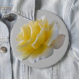Yellow rose petals 6 cm round badge