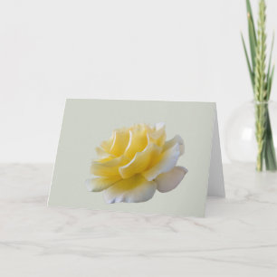 Yellow rose petals card