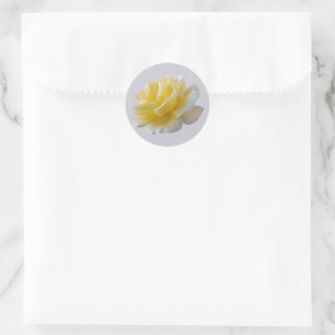 Yellow rose petals classic round sticker