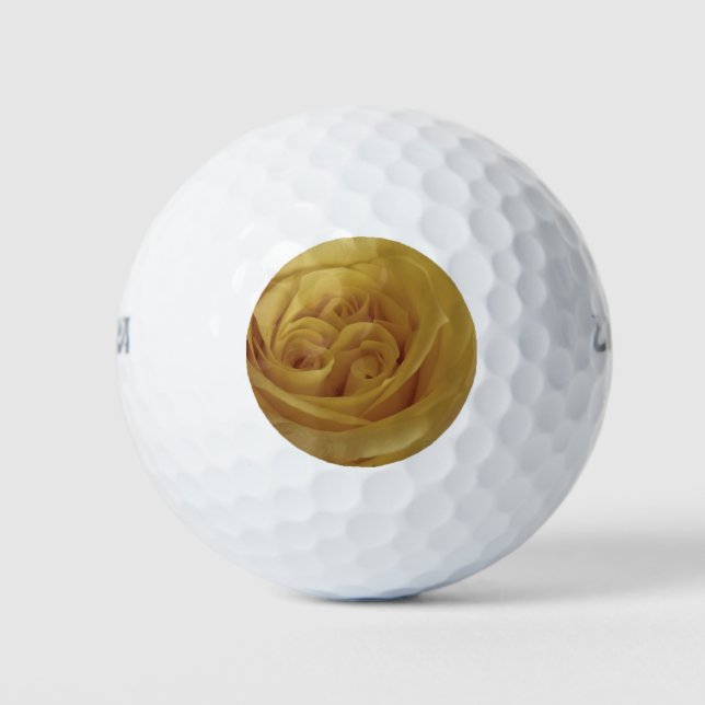 Yellow Rose Photo Beautiful Friendship Flower Golf Balls (Front)