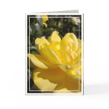 Yellow Rose Photo on Blank Card