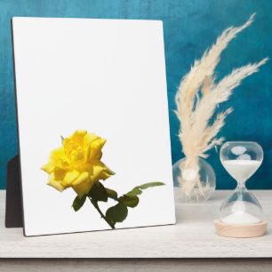 Yellow rose plaque