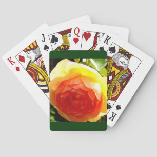 Yellow Rose Playing Cards