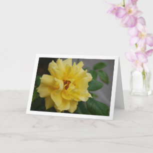 Yellow Rose Portrait Card