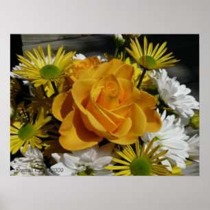 Yellow Rose Poster