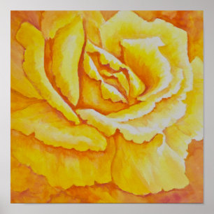 Yellow Rose Poster